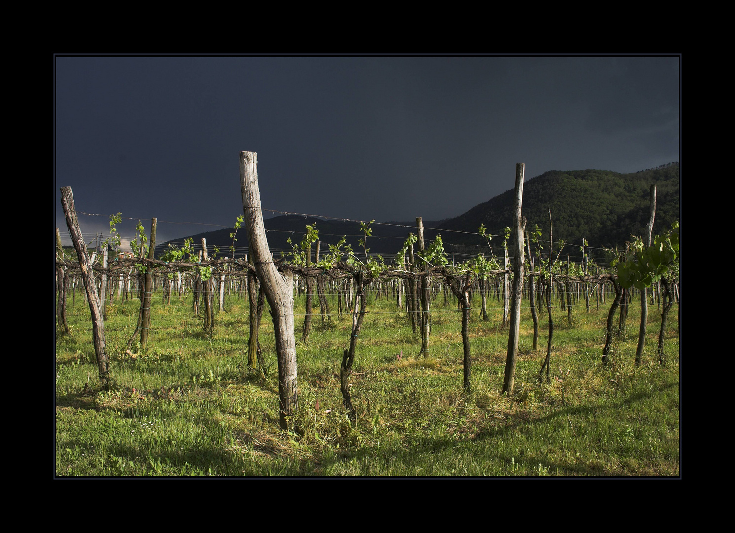 Gewitter rollt an...