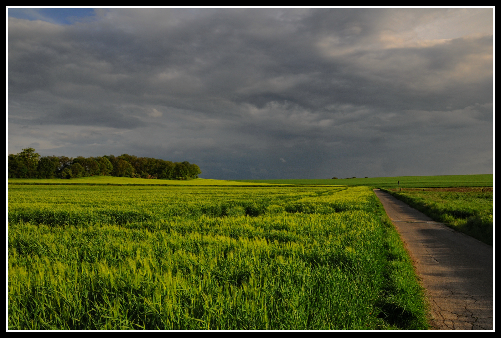 Gewitter-Stimmung am Niederrhein