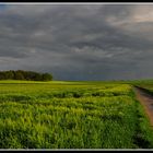 Gewitter-Stimmung am Niederrhein