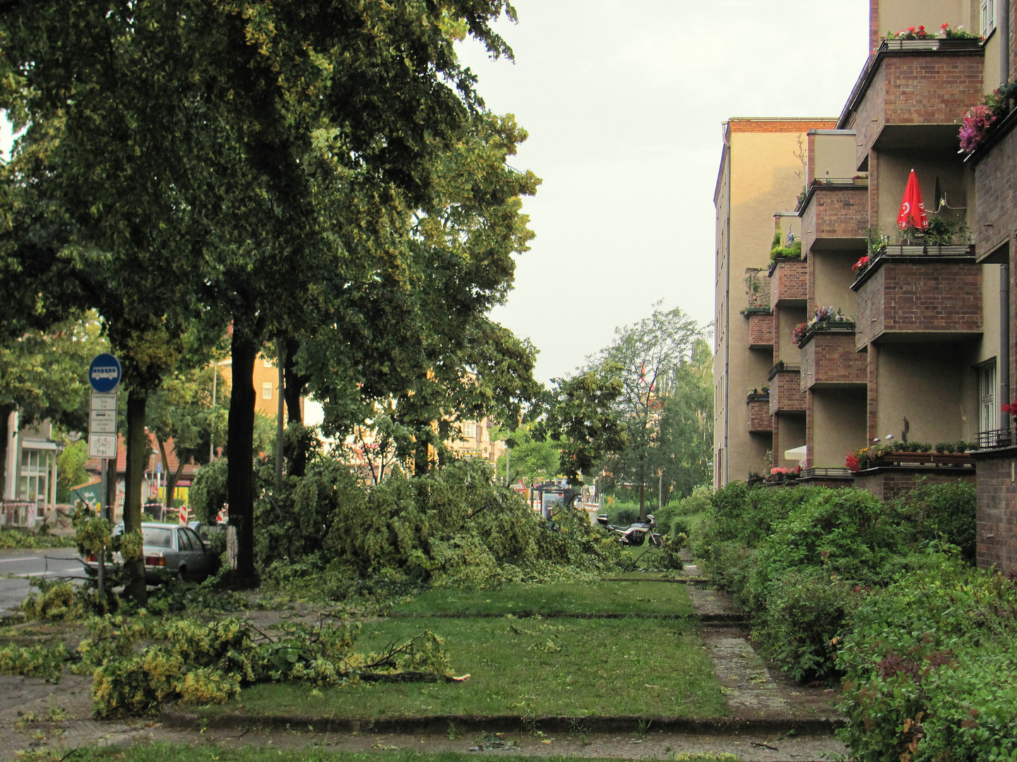 Gewitter Sturm in Tegel 2