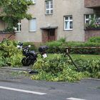 Gewitter Sturm in Tegel 3