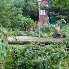 Gewitter Sturm in Tegel 5