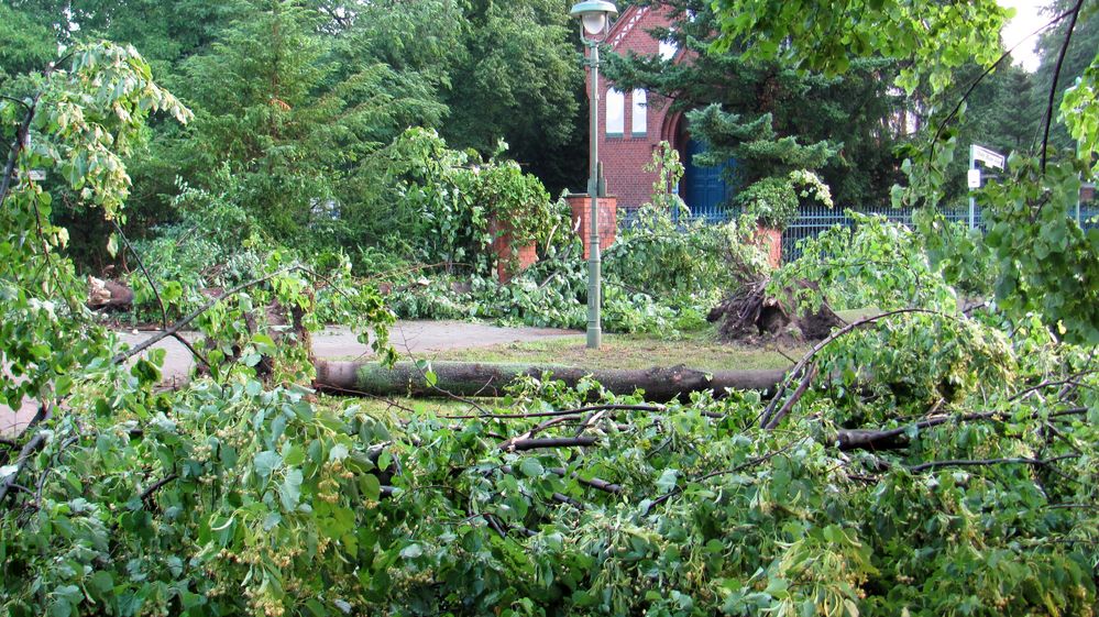 Gewitter Sturm in Tegel 5