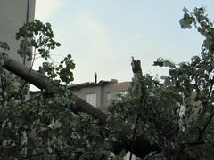 Gewitter Sturm in Tegel 6