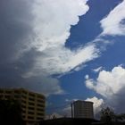 Gewitter, The Gardens, Darwin, Northern Territory, Australien V