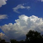 Gewitter, The Gardens, Darwin, Northern Territory, Australien VII