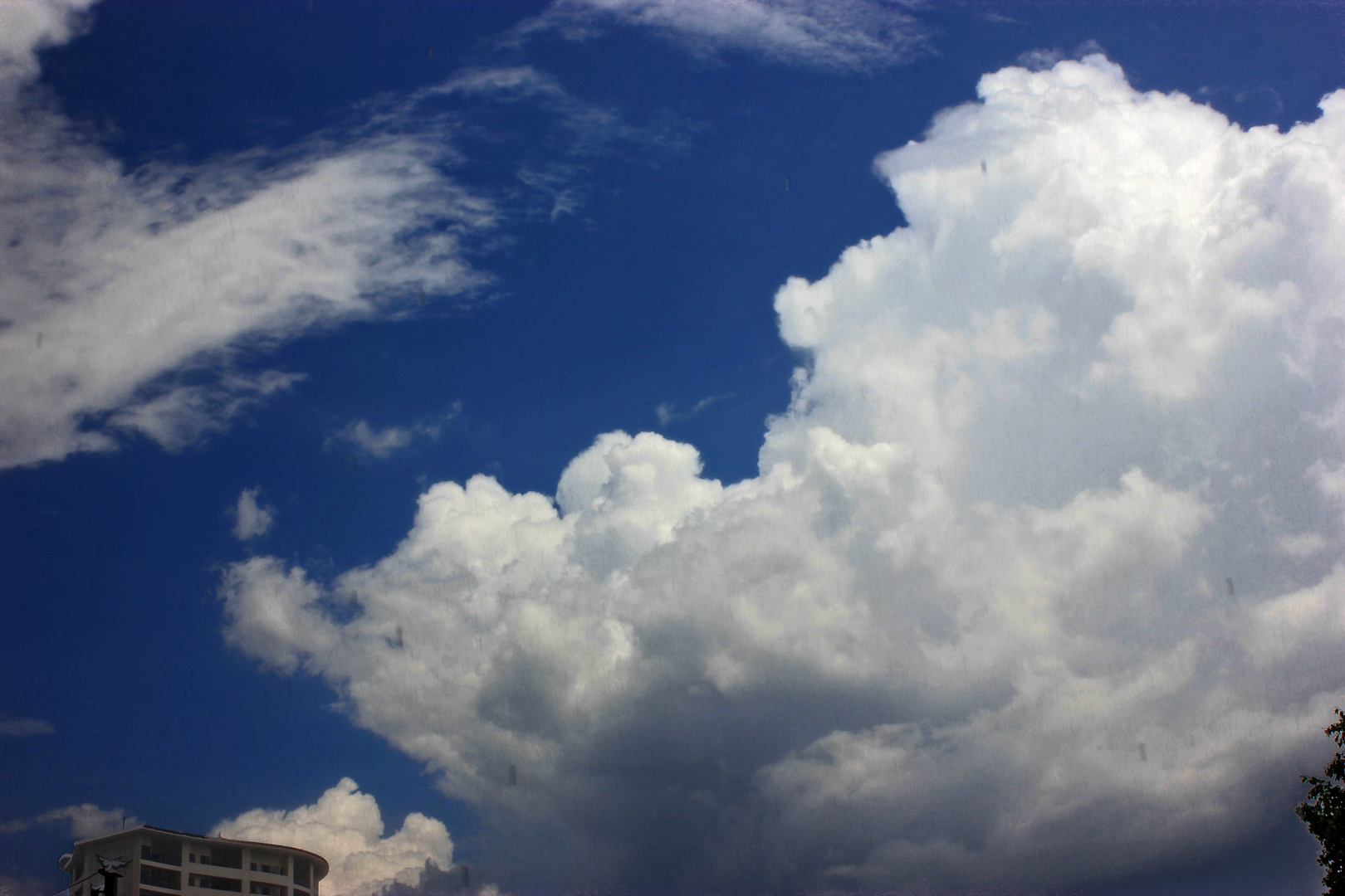 Gewitter, The Gardens, Darwin, Northern Territory, Australien VIII