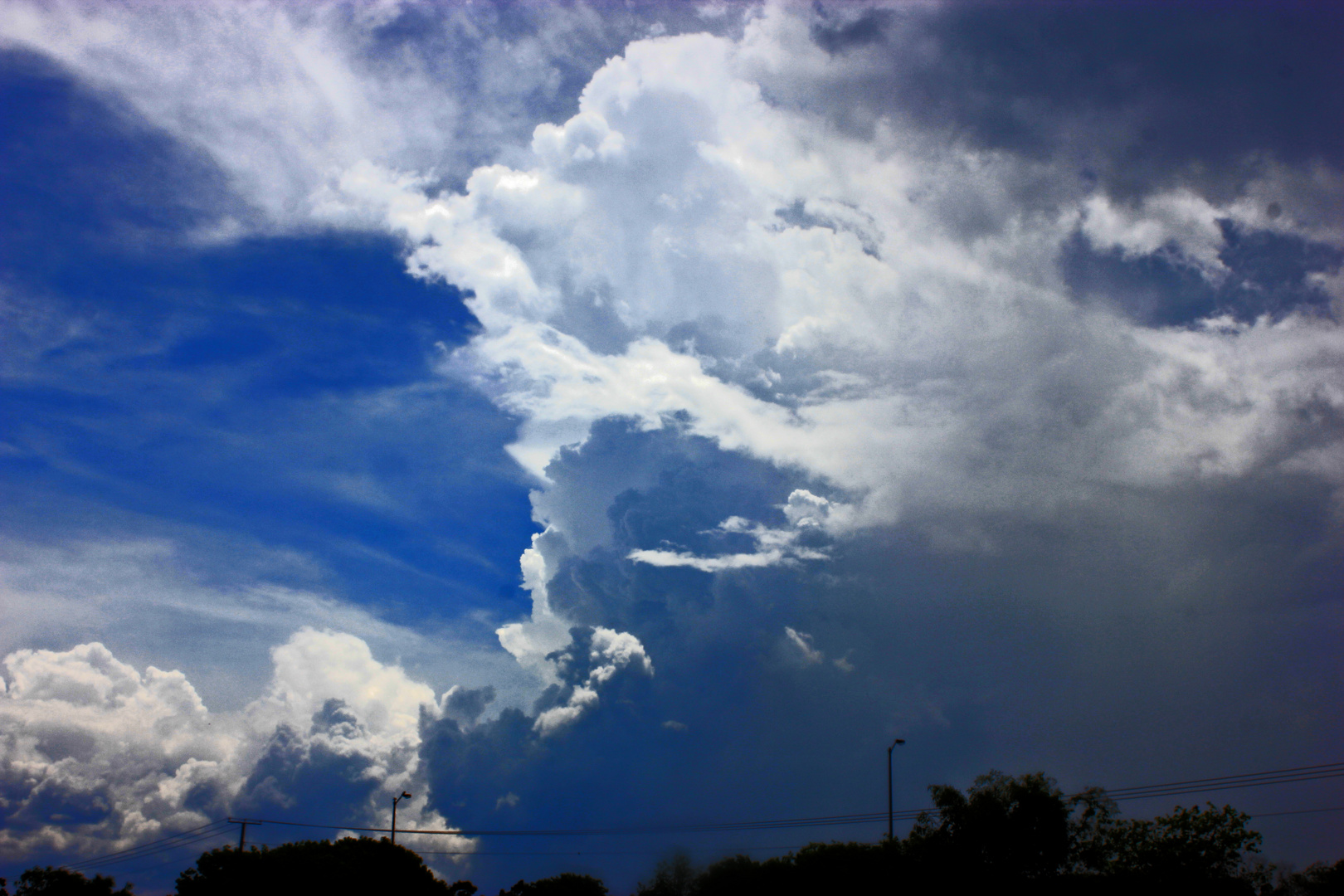 Gewitter, The Gardens, Darwin, Northern Territory, Australien XII