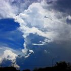 Gewitter, The Gardens, Darwin, Northern Territory, Australien XII