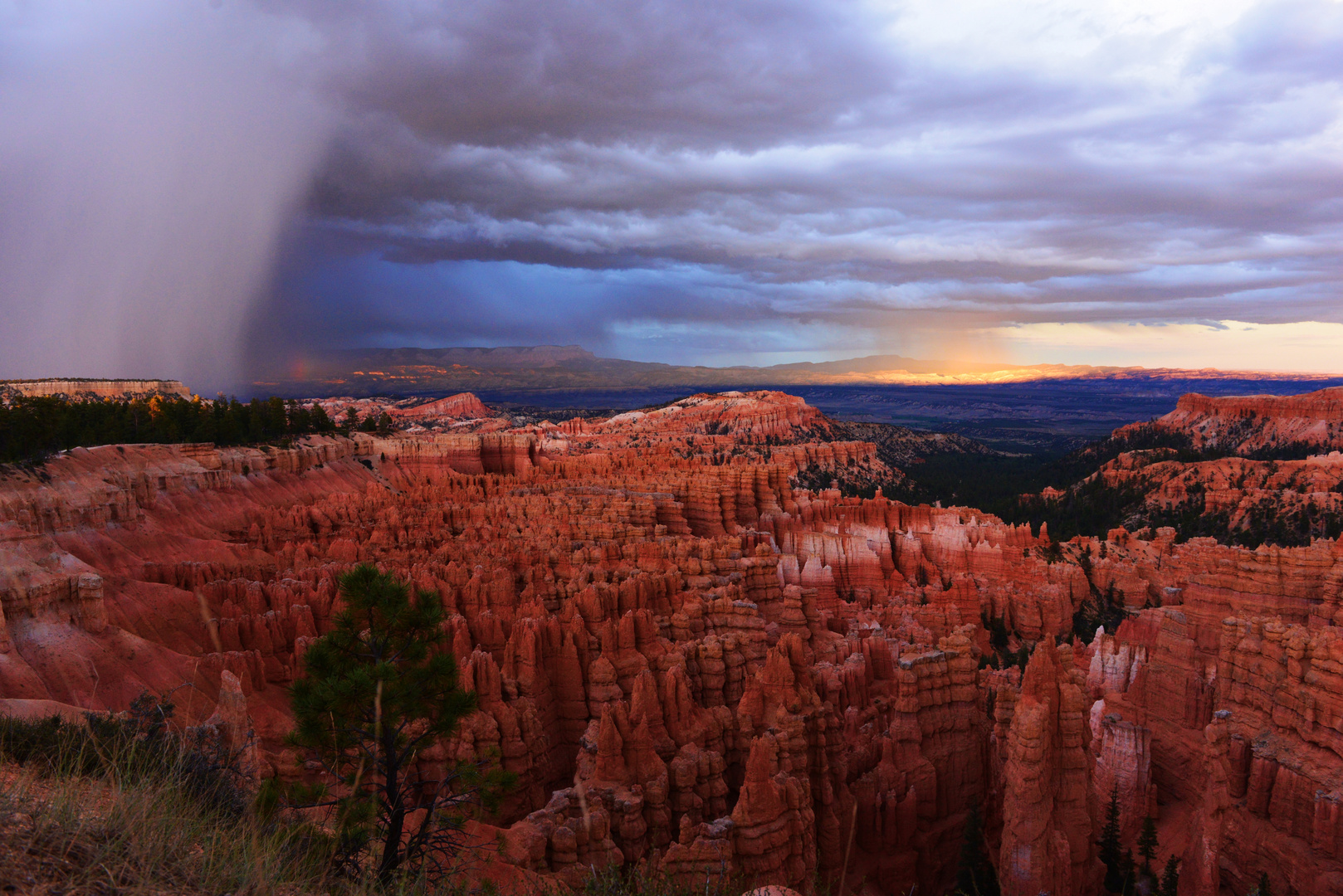 Gewitter über dem Bryce Canyon