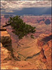 Gewitter über dem Grand Canyon