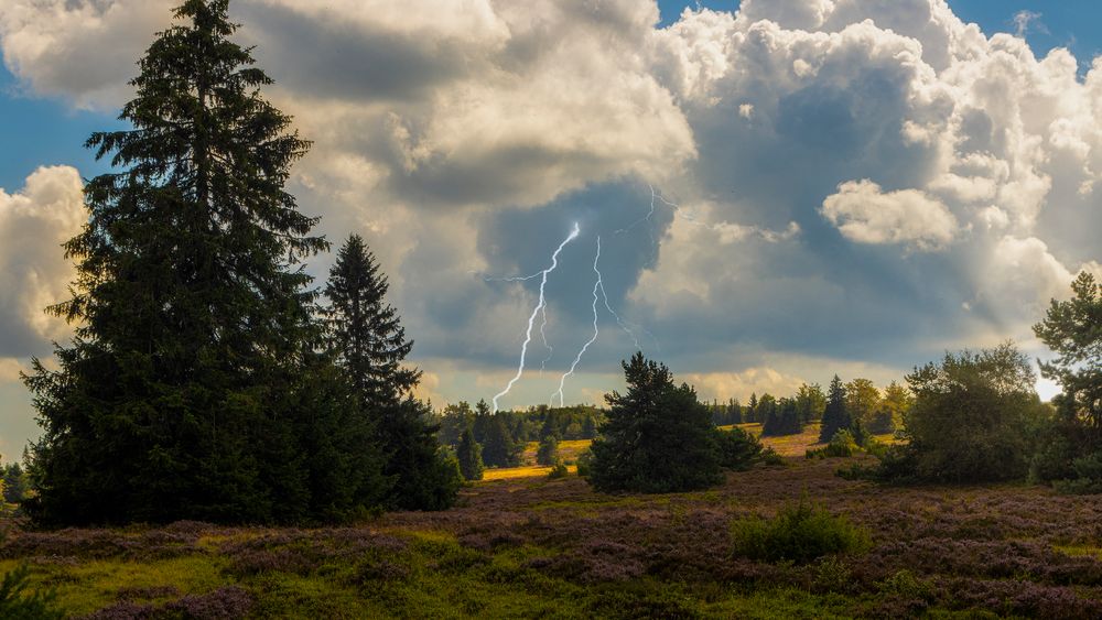 Gewitter über der Heide