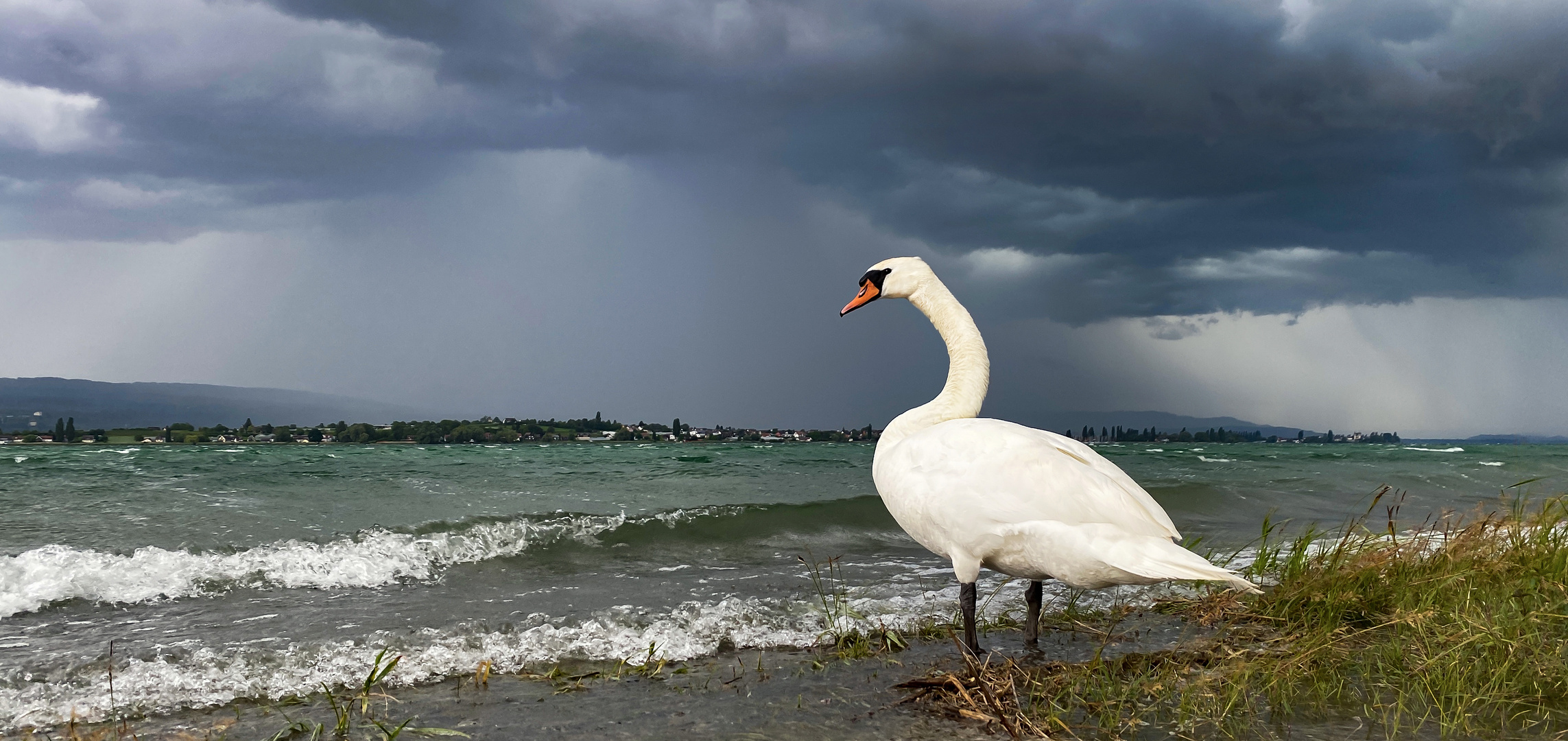 Gewitter über der Insel Reichenau