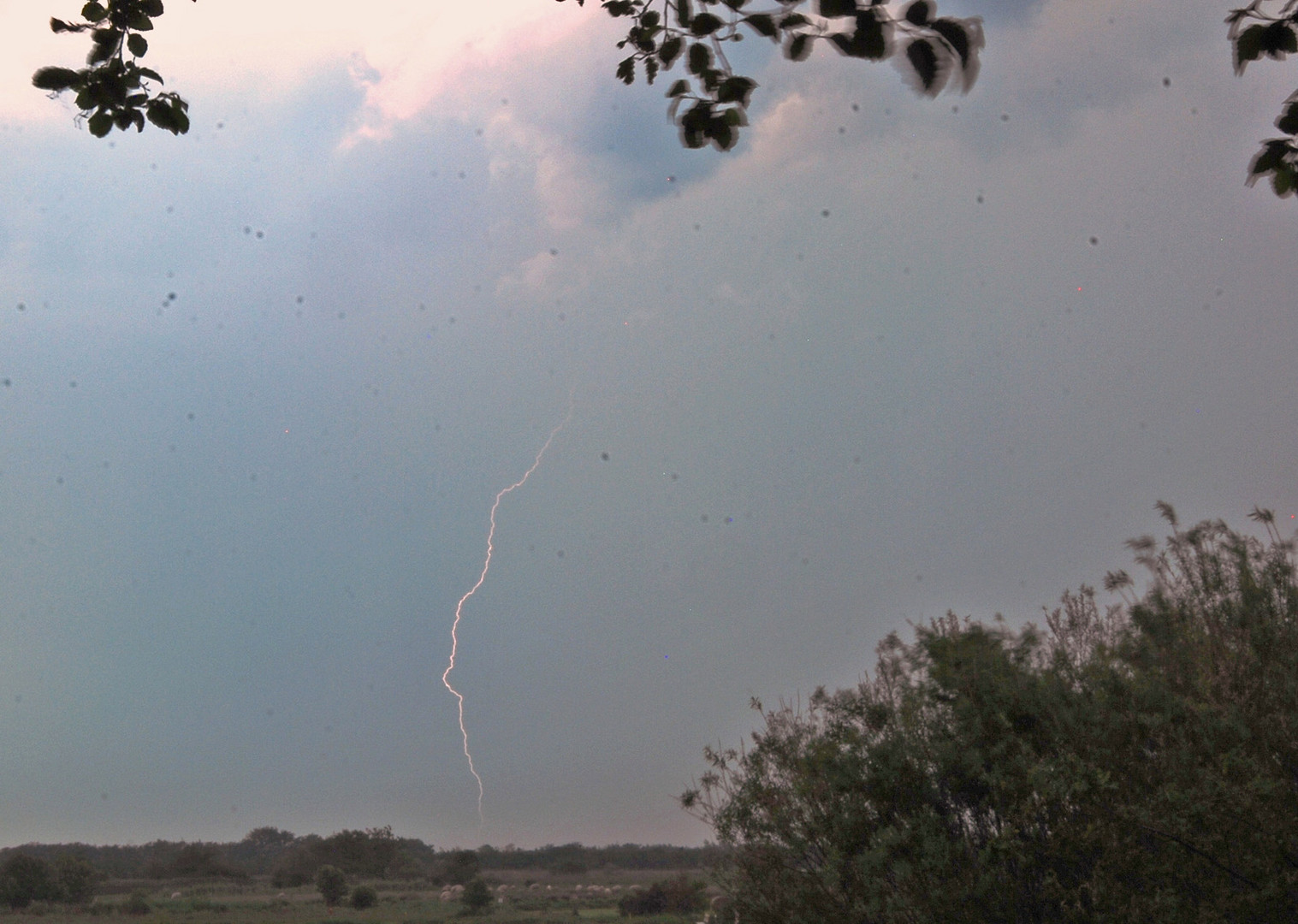 Gewitter über der Marsch