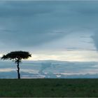 Gewitter über der Savanne