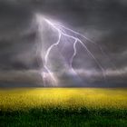 Gewitter über einem Rapsfeld ART