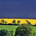 Gewitter überm Rapsfeld....