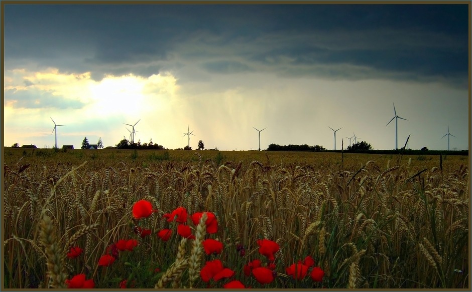 Gewitter, Unwetter, Tornado, Sturm, Blitze