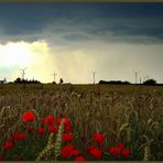 Gewitter, Unwetter, Tornado, Sturm, Blitze