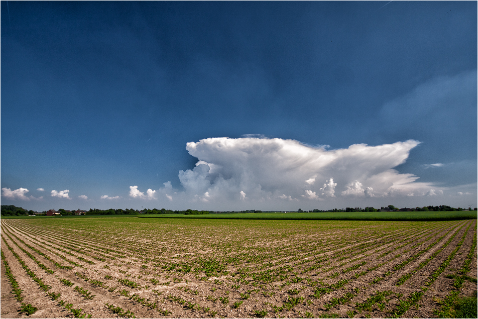 Gewitter Wolke