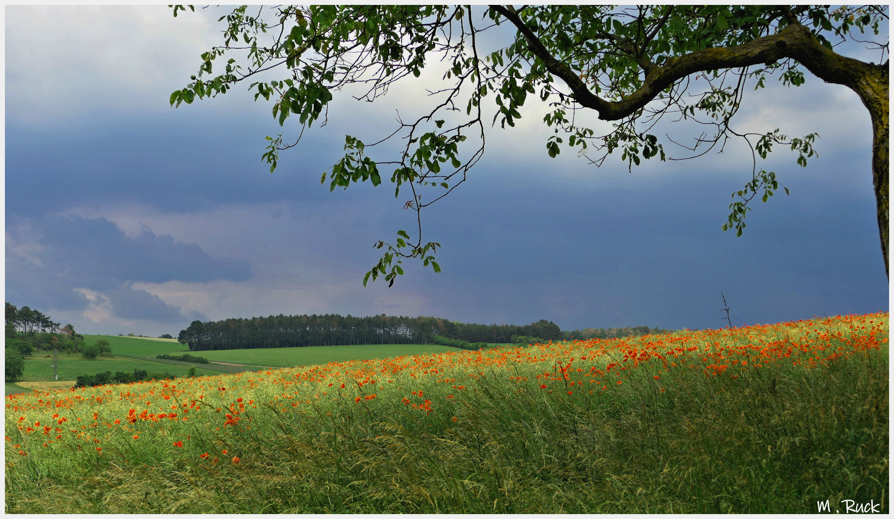 Gewitter zieht auf ,