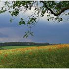 Gewitter zieht auf ,