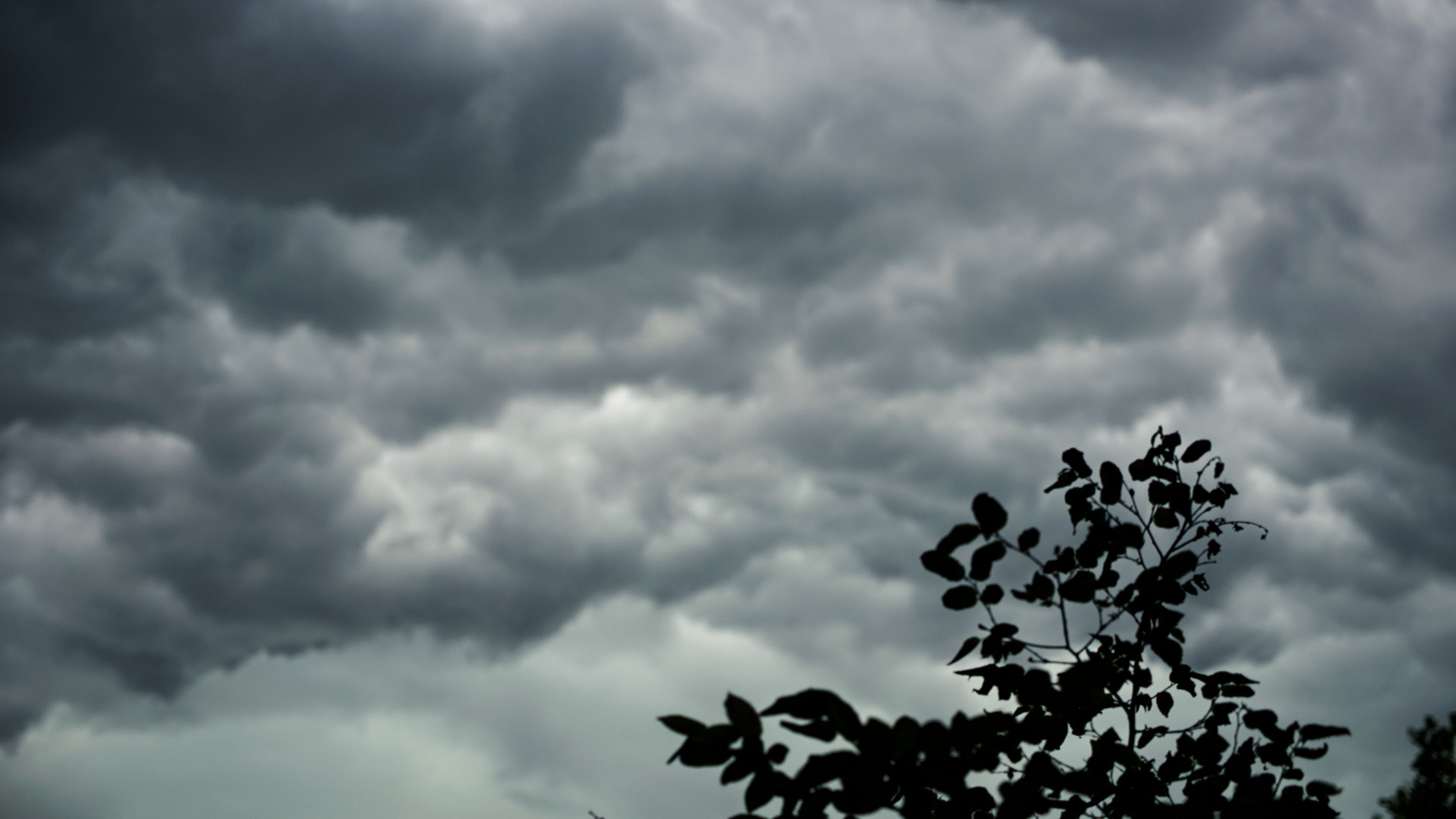 Gewitter zieht auf........das war`s für heute!