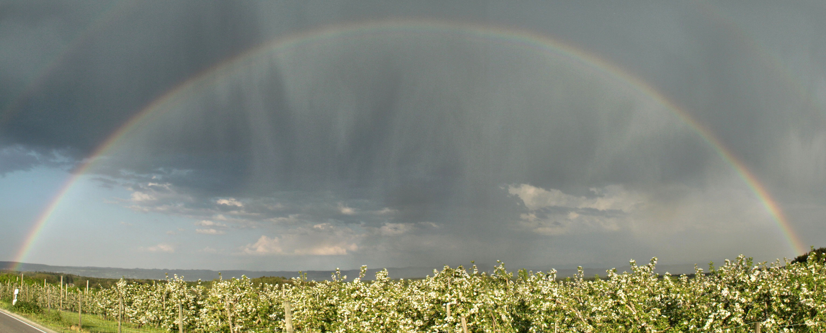 Gewitter zwischen Apfelbäumen