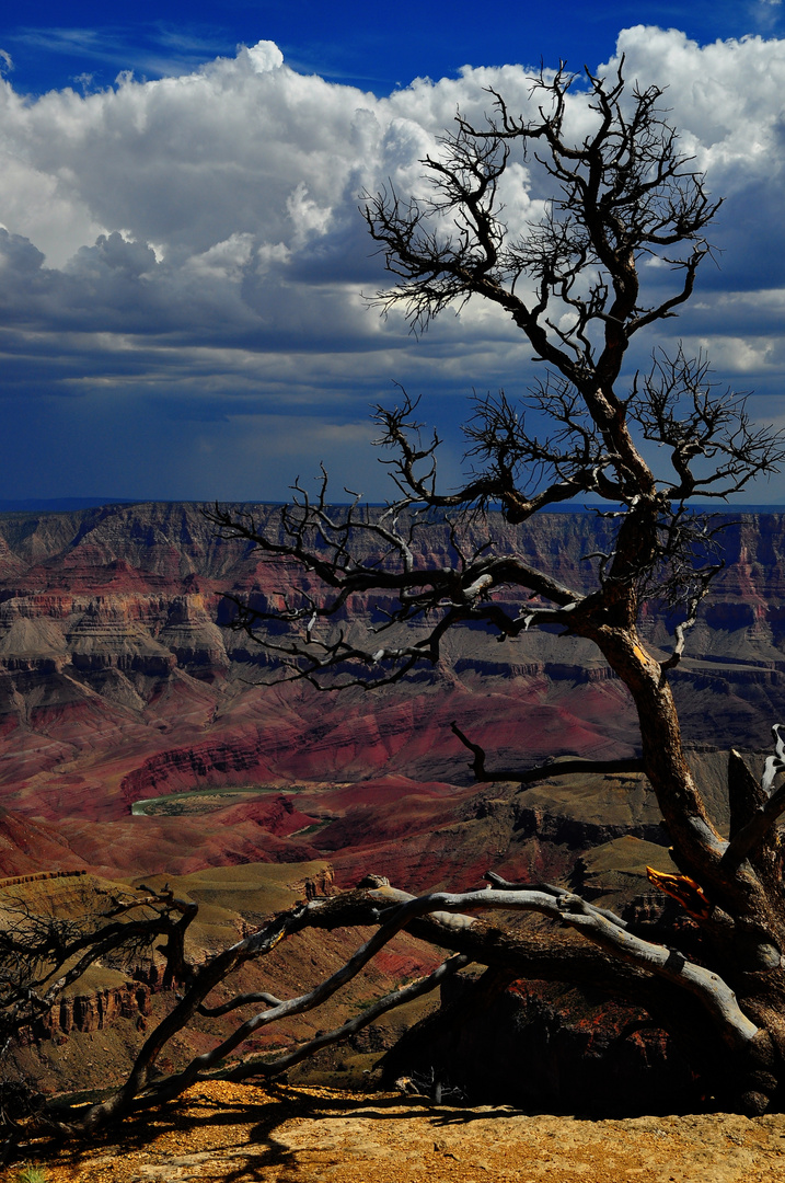 Gewitterfront am North Rim