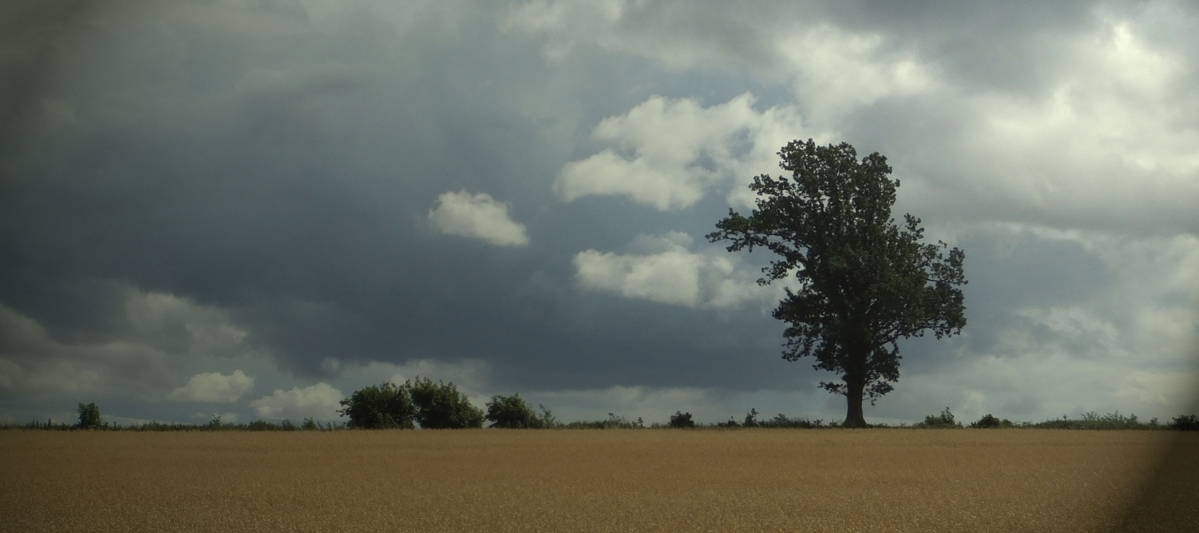 Gewitterluft  (thunderstorm air)