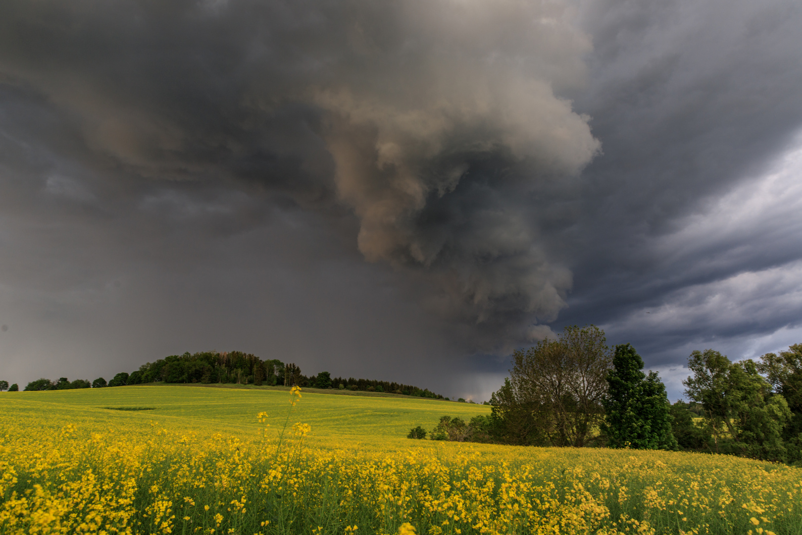 Gewitterschauer im Abendlicht