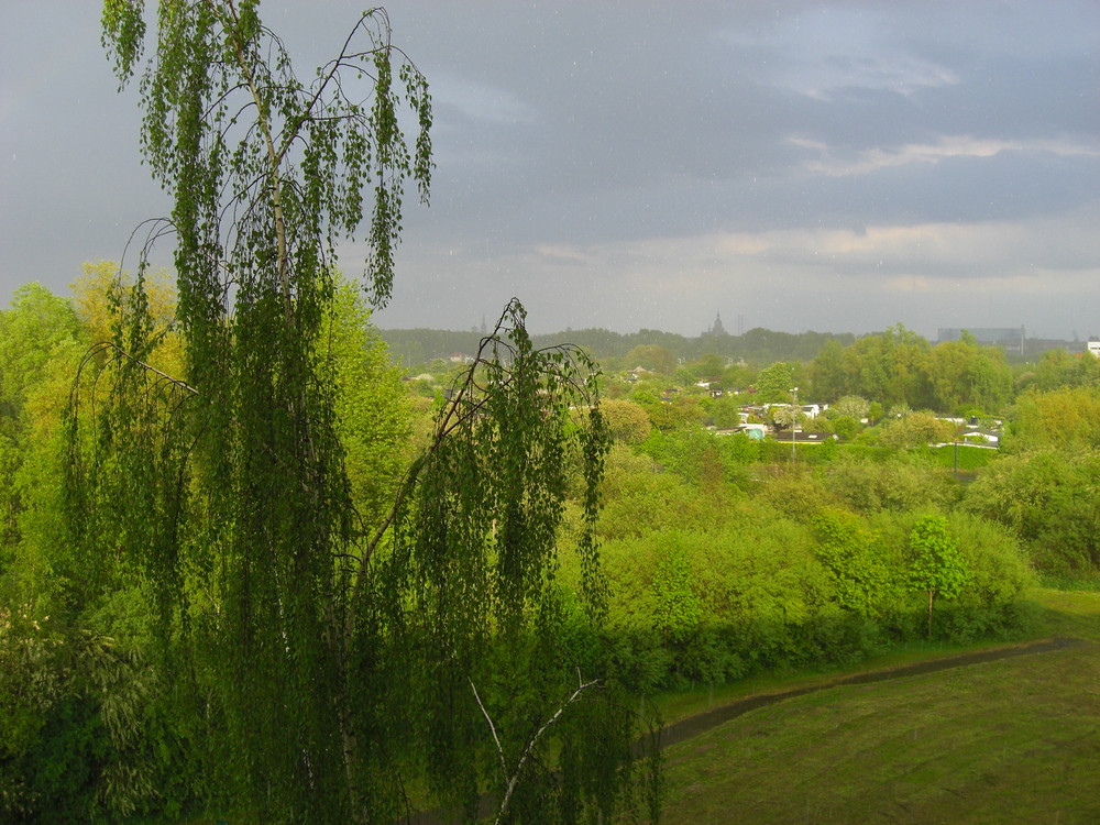 Gewitter&Sonne Zwei Herrliche Pfänomene