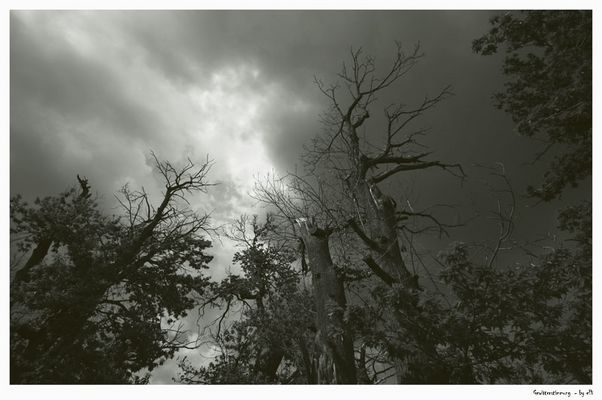 gewitterstimmung....