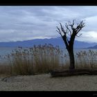 Gewitterstimmung am Gardasee