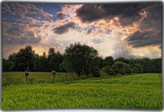 Gewitterstimmung am Niederrhein