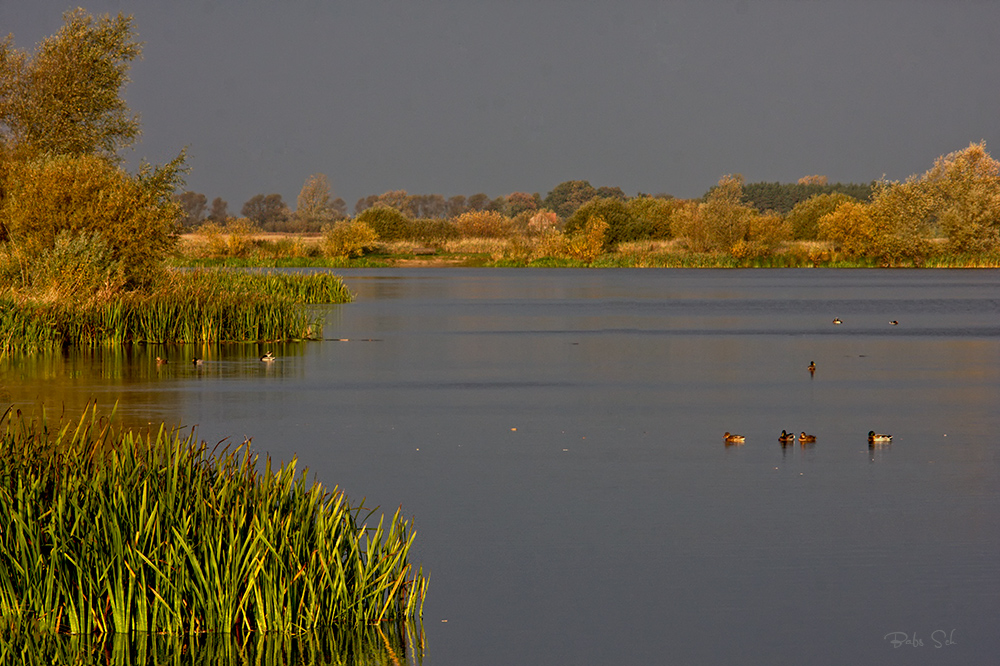 Gewitterstimmung am See