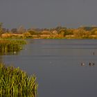 Gewitterstimmung am See