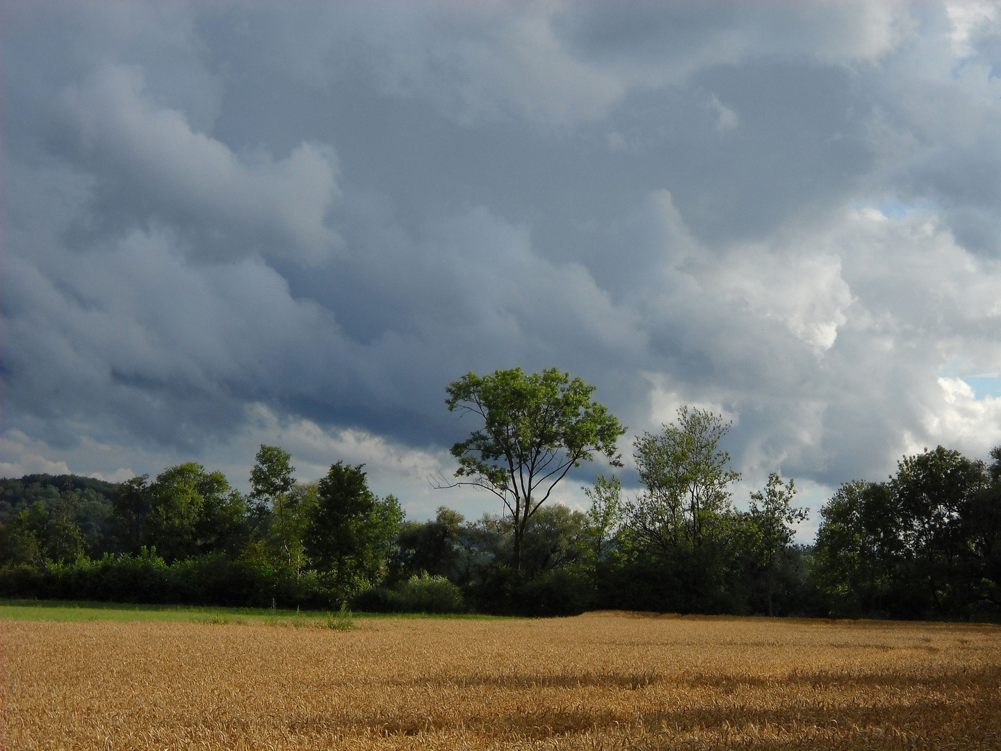 Gewitterstimmung an der Aare