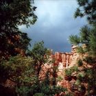 Gewitterstimmung im Bryce Canyon