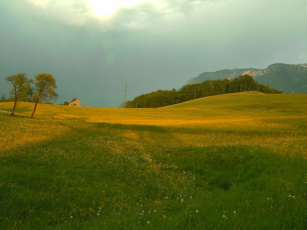 Gewitterstimmung im Frühsommer