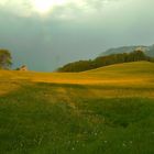 Gewitterstimmung im Frühsommer