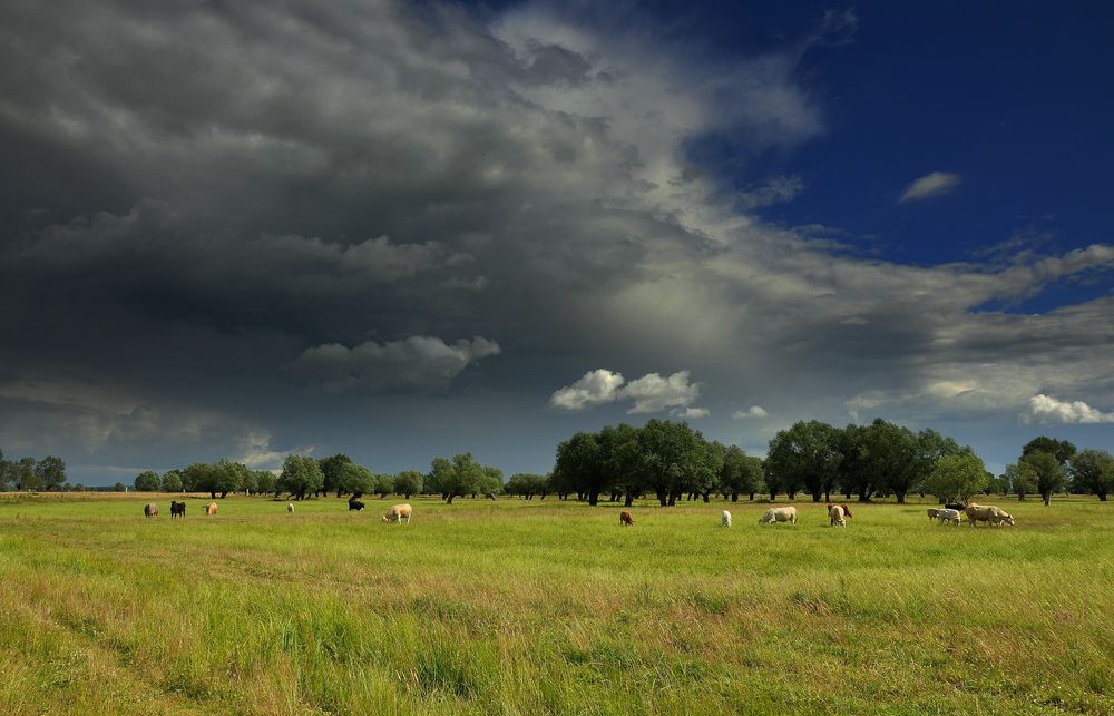 Gewitterstimmung im Havelland