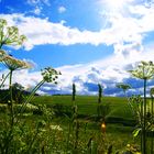 Gewitterstimmung im Hochschwarzwald