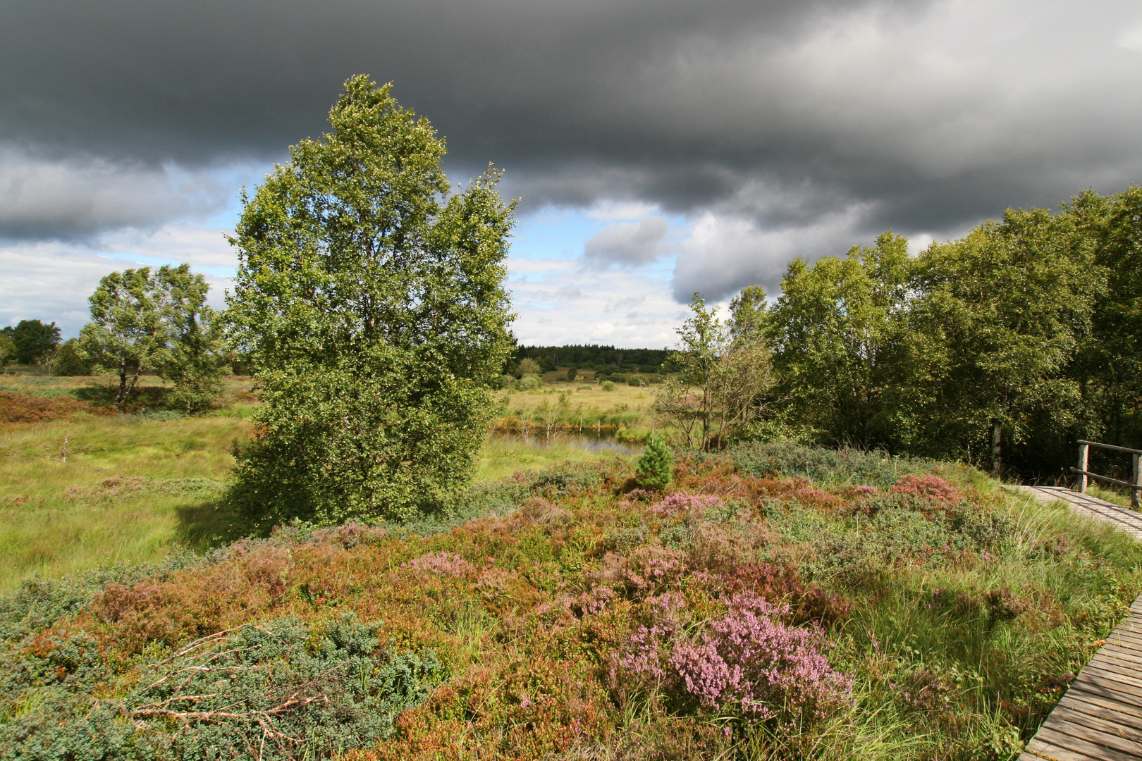 Gewitterstimmung im Naturpark "Hohes Venn"