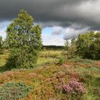 Gewitterstimmung im Naturpark "Hohes Venn"