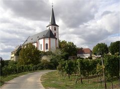 Gewitterstimmung in den Weinbergen von Hochheim am Main