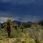 Gewitterstimmung in der Kalahari