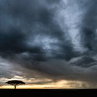 Gewitterstimmung in der Maasai Mara