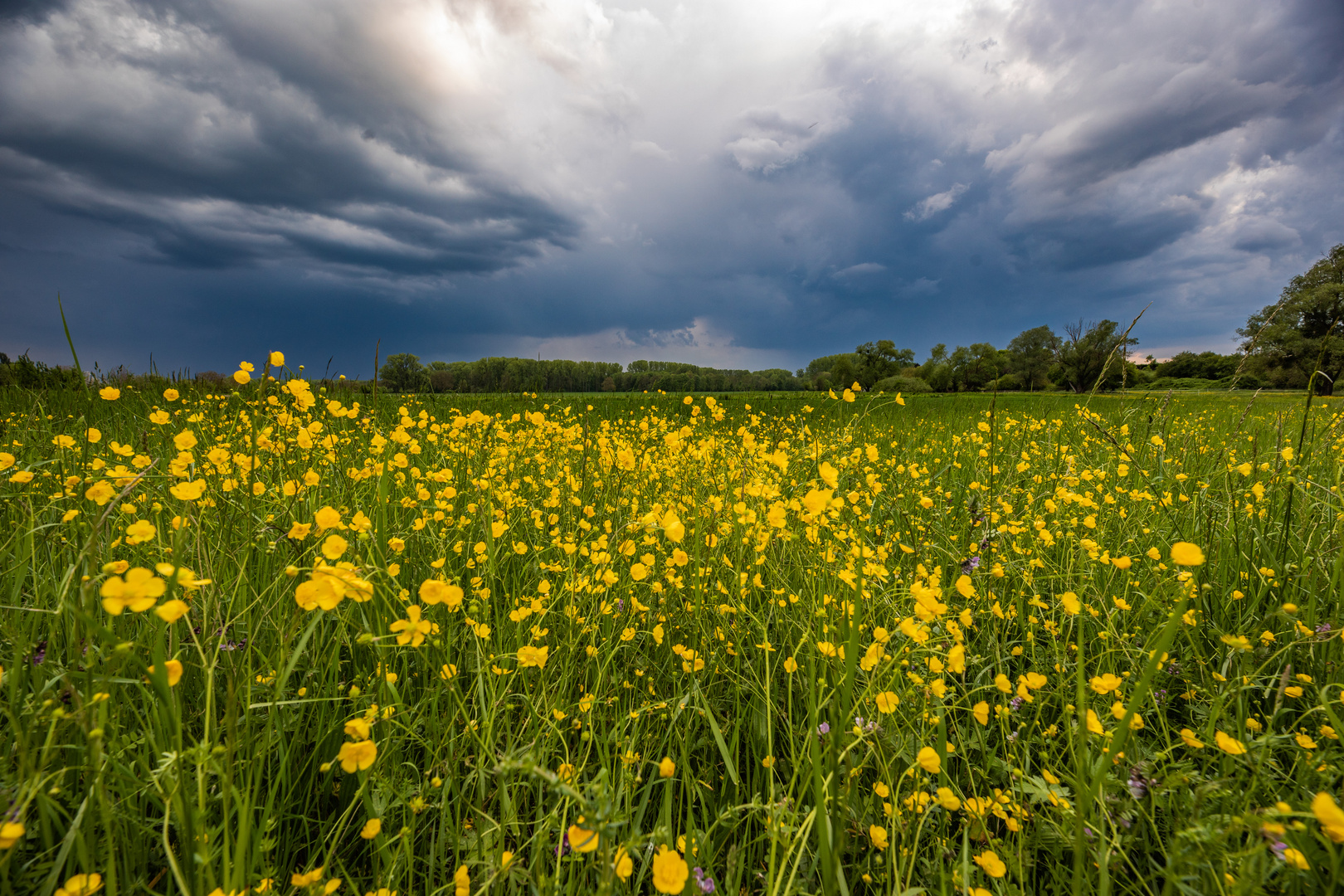 Gewitterstimmung in der Südpfalz