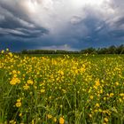 Gewitterstimmung in der Südpfalz